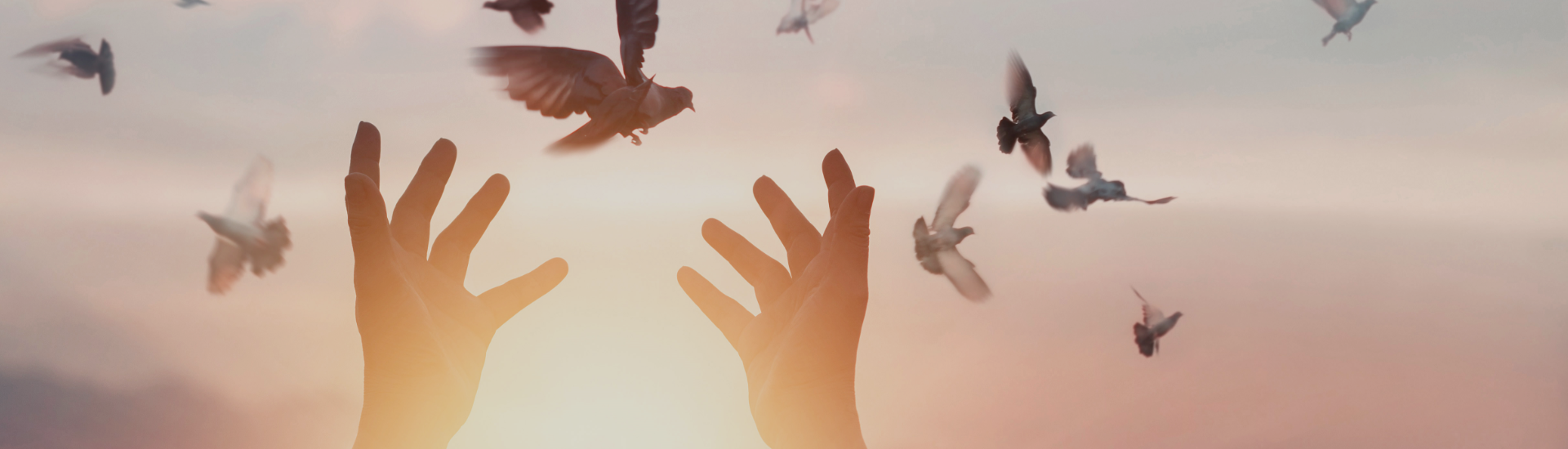 freedom and hope large